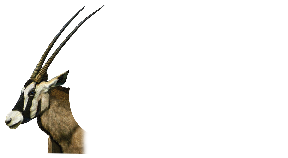ORYX Asia Ladies